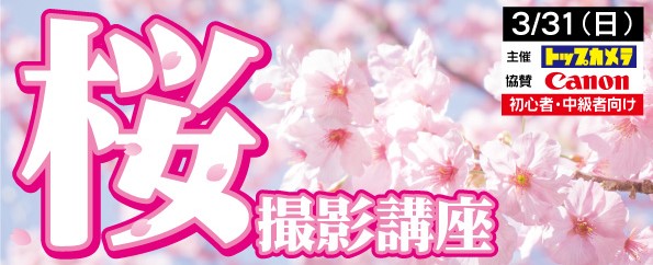 桜撮影セミナー